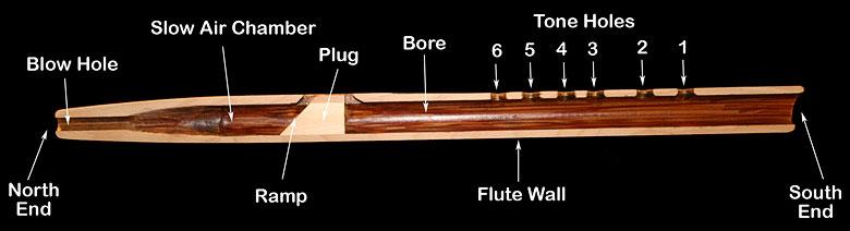 Flute Crosscut Crosscut of a Flute