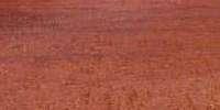 Padauk Wood, Padauk