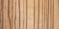 Zebrawood Zebrawood