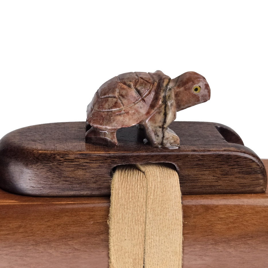 Turtle Fetish With Backpacker